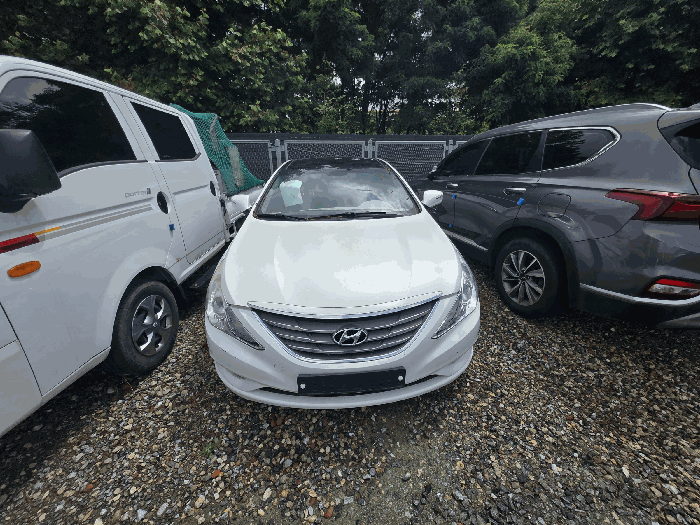 쏘나타(SONATA)