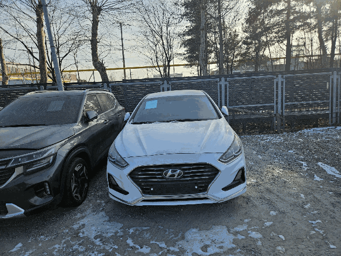 쏘나타(SONATA)