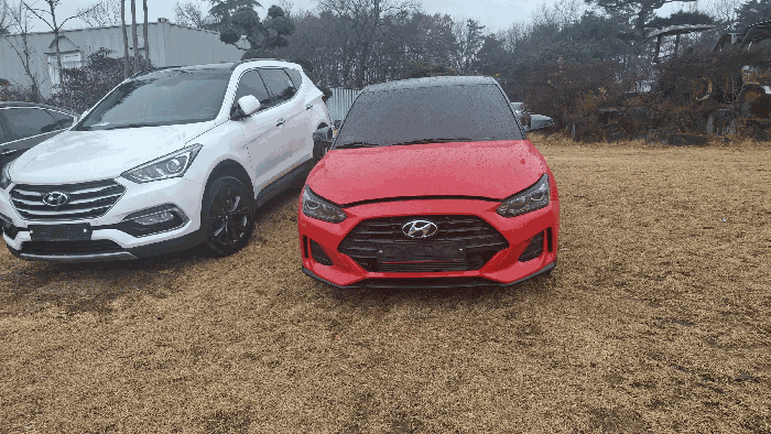 벨로스터(VELOSTER)