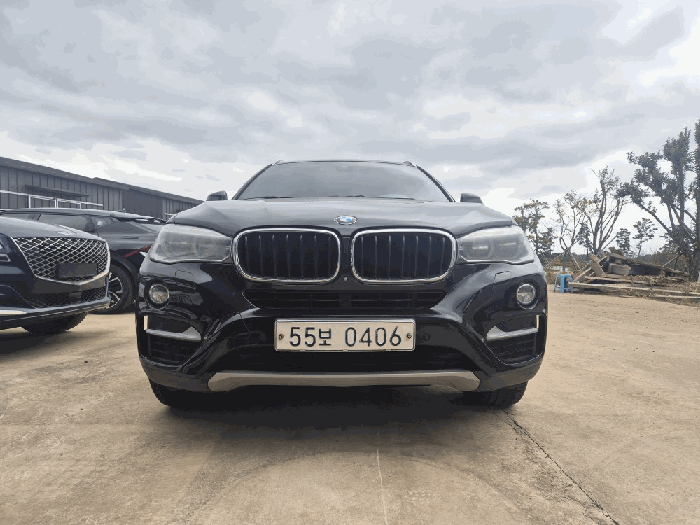 BMW X6 nDrive30d