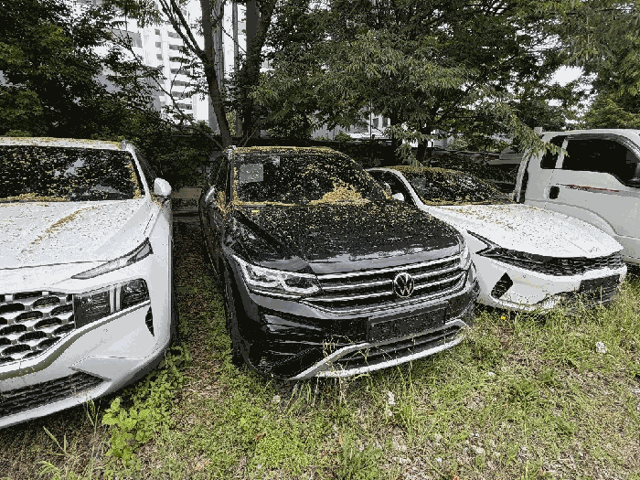 Tiguan Allspace