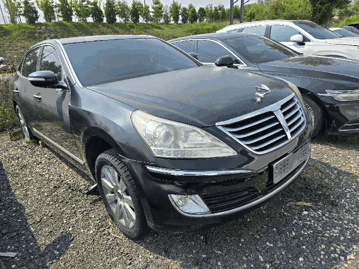 에쿠스(EQUUS)