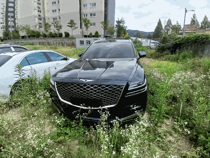 GV80