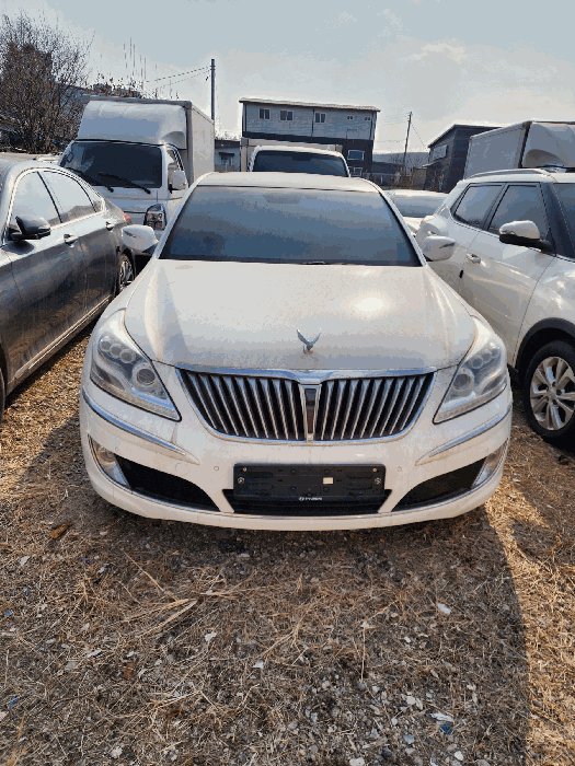에쿠스(EQUUS)