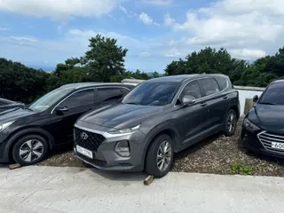 싼타페(SANTAFE) 현황 사진 1
