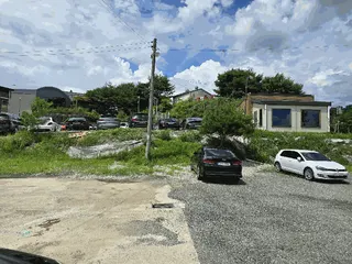 카니발 현황 사진 8
