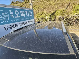 카니발 현황 사진 6