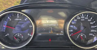 카니발 현황 사진 14