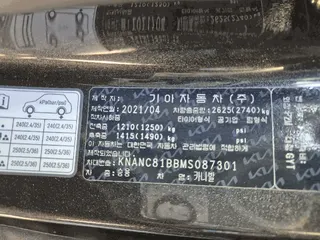 카니발 현황 사진 21