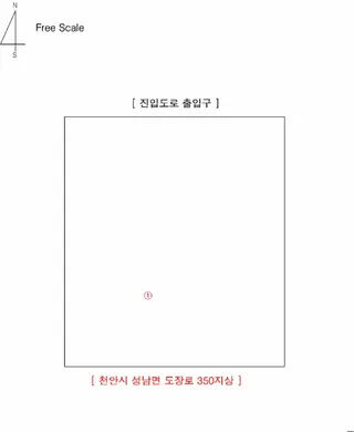 에쿠스(EQUUS) 현황 사진 13
