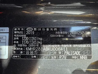 팰리세이드 현황 사진 8