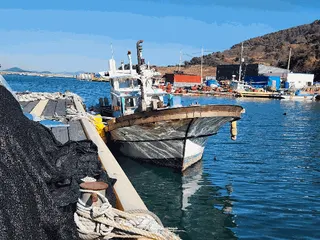 차량 사진
