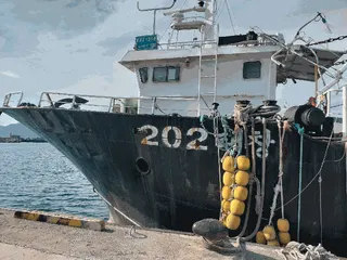 차량 사진
