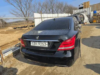 에쿠스(EQUUS) 현황 사진 13