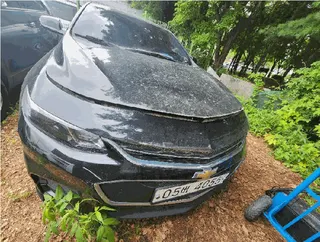 차량 사진