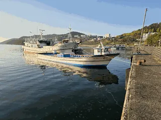 차량 사진
