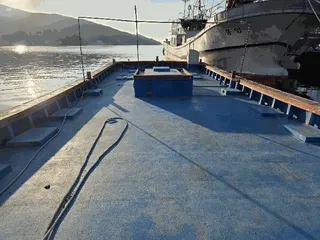 차량 사진