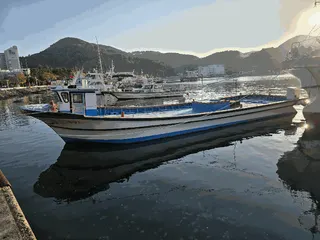 — 현황 사진 6