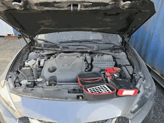 Maxima 현황 사진 5