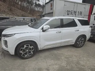 팰리세이드 현황 사진 2