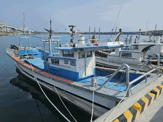 차량 사진