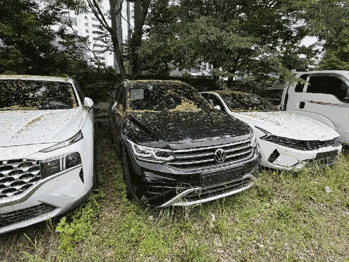 Tiguan Allspace
