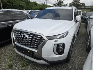 팰리세이드(PALISADE) 현황 사진 2