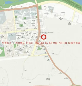 카니발 현황 사진 15
