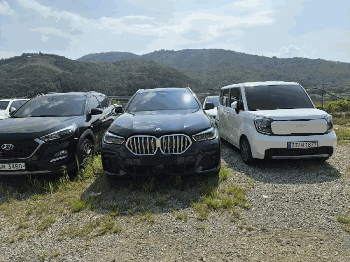 BMW X6 xDrive40i