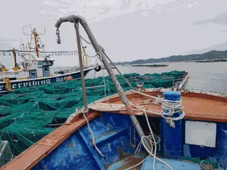 — 현황 사진 6