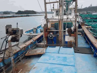 — 현황 사진 19