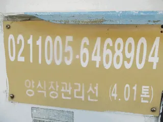 — 현황 사진 5