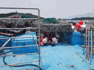 — 현황 사진 9