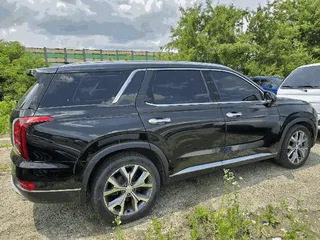 팰리세이드(PALISADE) 현황 사진 2