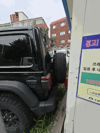 카니발 현황 사진 19