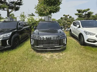 펠리세이드(PALISADE) 현황 사진 1