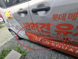 레이 현황 사진 9