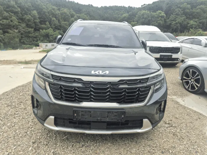 셀토스