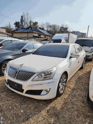 에쿠스(EQUUS) 현황 사진 4