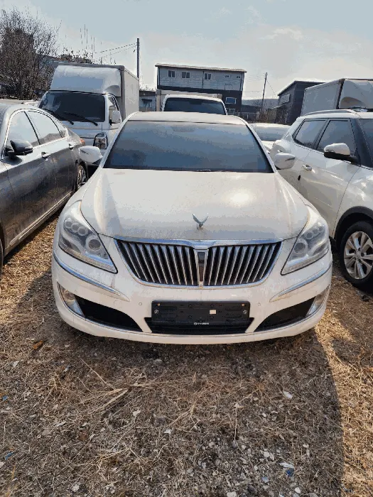 에쿠스(EQUUS)