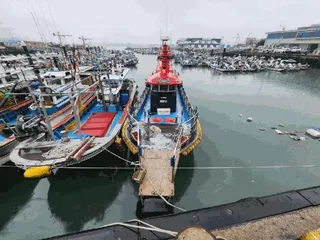 차량 사진