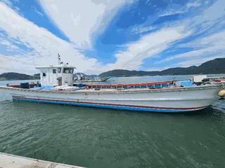 차량 사진