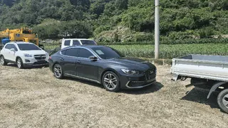 그랜저(GRANDEUR) 현황 사진 2