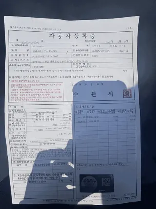 팰리세이드 현황 사진 14