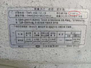 카니발 현황 사진 14