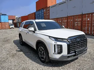 팰리세이드(PALISADE) 현황 사진 2