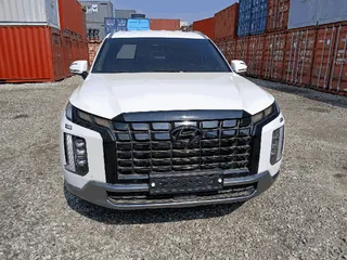 팰리세이드(PALISADE) 현황 사진 1