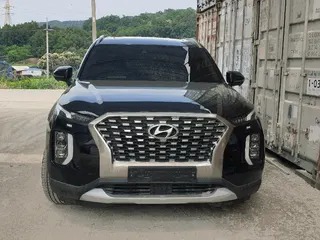 팰리세이드(PALISADE) 현황 사진 1