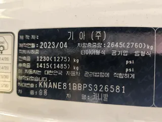 카니발 현황 사진 14