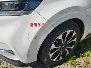 카니발 현황 사진 13
